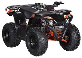 BULL_125