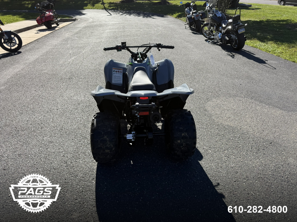 2024 KAWASAKI KFX 90 — photo 7