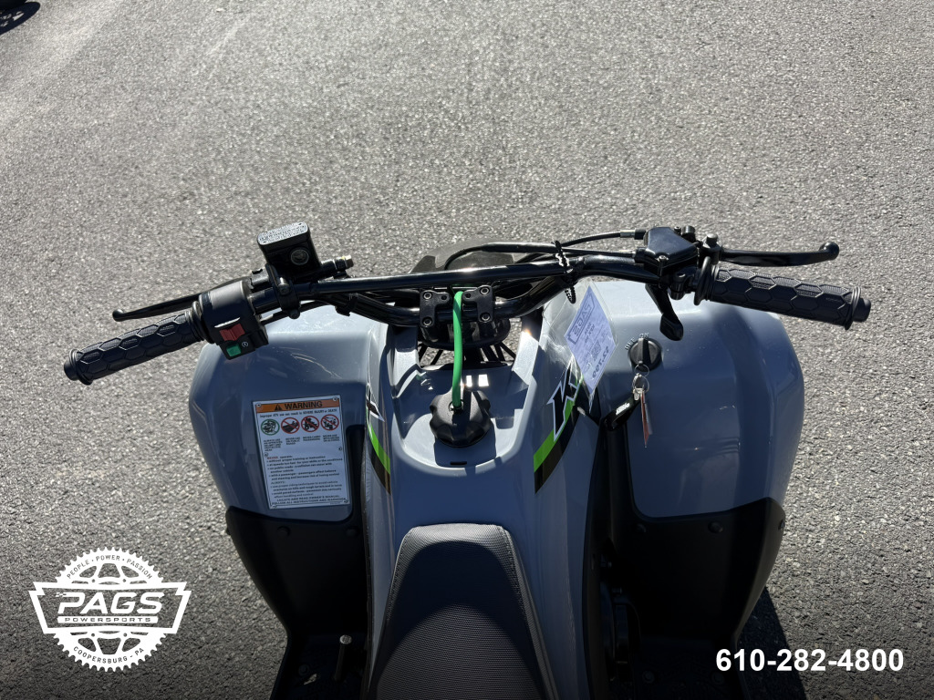 2024 KAWASAKI KFX 90 — photo 9