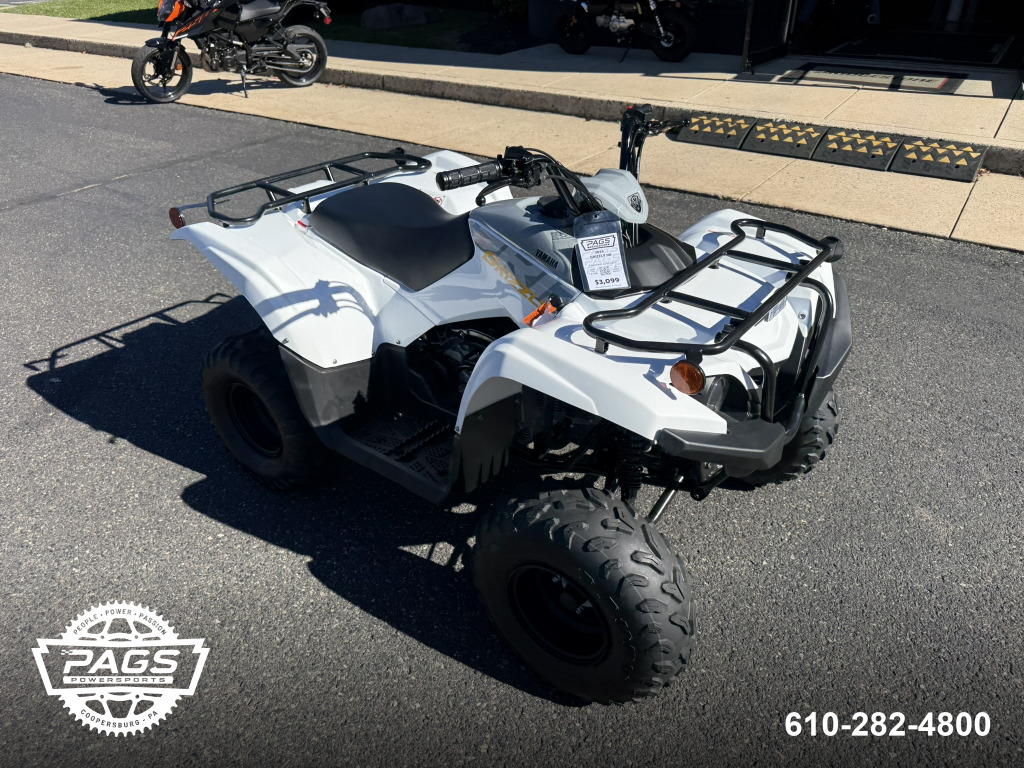 2024 YAMAHA GRIZZLY 90 — photo 2