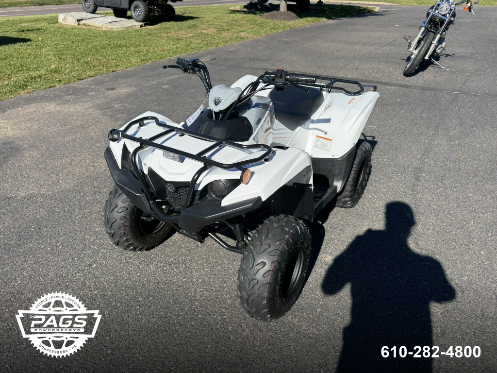 2024 YAMAHA GRIZZLY 90 — photo 4