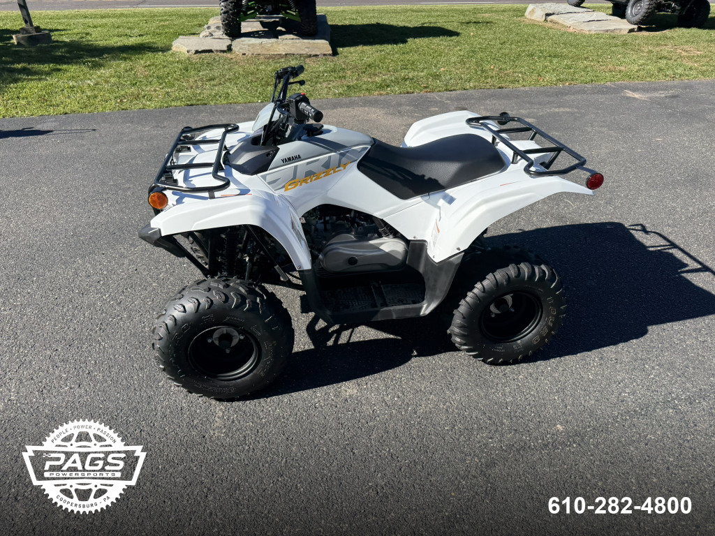 2024 YAMAHA GRIZZLY 90 — photo 5