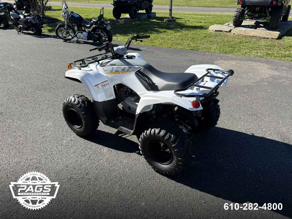 2024 YAMAHA GRIZZLY 90 — photo 6