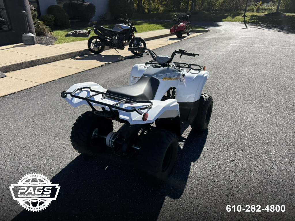 2024 YAMAHA GRIZZLY 90 — photo 8