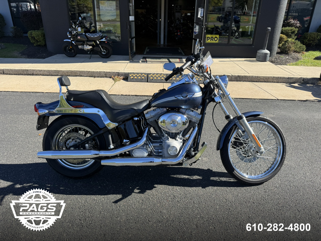 2003 H-D FXST SOFTAIL STANDARD 100TH ANN EDITION