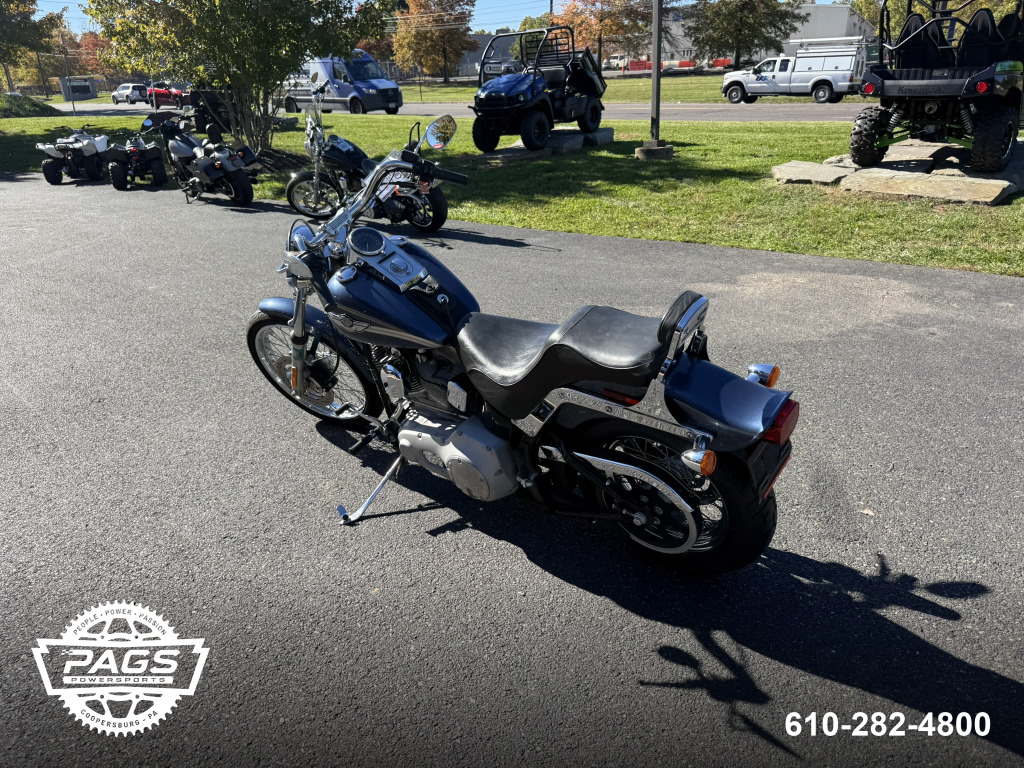 2003 H-D FXST SOFTAIL STANDARD 100TH ANN EDITION — photo 6