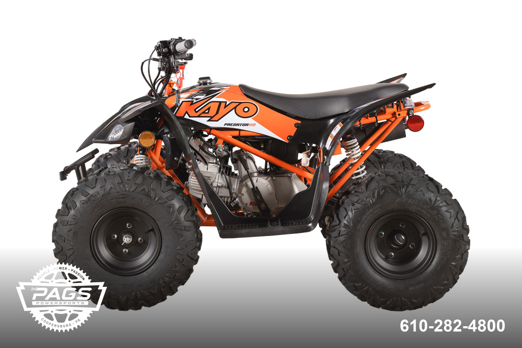 2026 KAYO PREDATOR 110