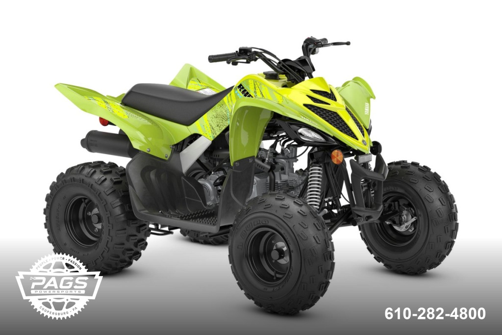 2026 YAMAHA RAPTOR 110