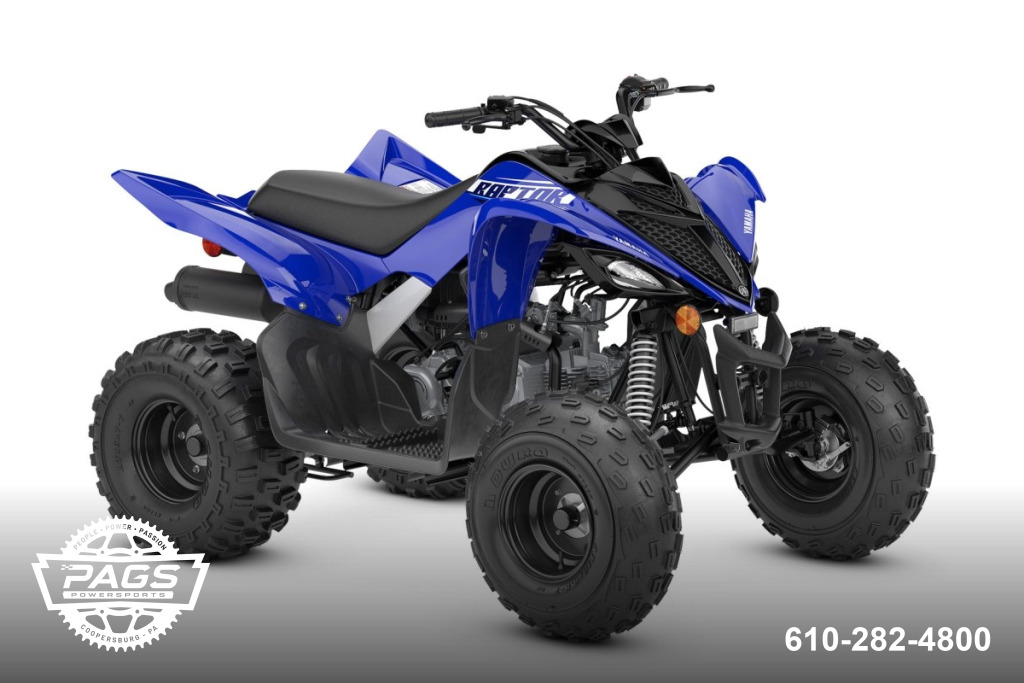 2026 YAMAHA RAPTOR 110 — photo 2